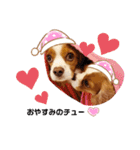 Cavalier Family の気持ち（個別スタンプ：22）