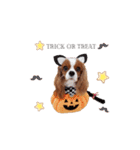 Cavalier Family の気持ち（個別スタンプ：31）