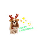 Cavalier Family の気持ち（個別スタンプ：32）