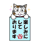 伝言猫・ビジネス使用（個別スタンプ：34）