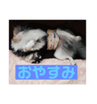 りむう（個別スタンプ：2）