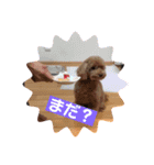 りむう（個別スタンプ：6）