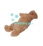 僕、だっくんです（個別スタンプ：1）
