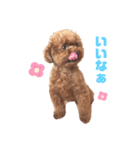 僕、だっくんです（個別スタンプ：3）