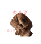 僕、だっくんです（個別スタンプ：7）