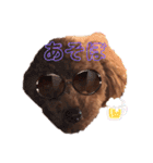 僕、だっくんです（個別スタンプ：8）