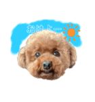 僕、だっくんです（個別スタンプ：11）