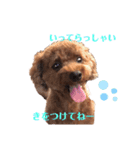 僕、だっくんです（個別スタンプ：13）