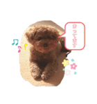 僕、だっくんです（個別スタンプ：15）