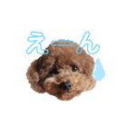 僕、だっくんです（個別スタンプ：18）