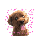 僕、だっくんです（個別スタンプ：21）