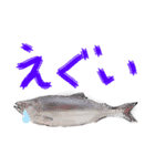 いかとシャケ（個別スタンプ：10）