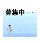 ペンギンのつもりで描いた動物スタンプ（個別スタンプ：9）