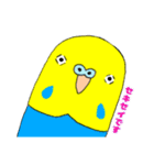 ★船堀インコ★その②(イラスト編)（個別スタンプ：4）