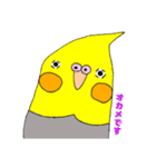 ★船堀インコ★その②(イラスト編)（個別スタンプ：8）