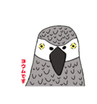 ★船堀インコ★その②(イラスト編)（個別スタンプ：10）