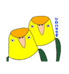 ★船堀インコ★その②(イラスト編)（個別スタンプ：13）