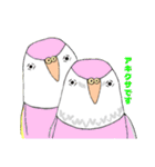 ★船堀インコ★その②(イラスト編)（個別スタンプ：15）