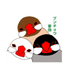 ★船堀インコ★その②(イラスト編)（個別スタンプ：16）