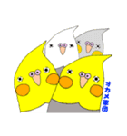 ★船堀インコ★その②(イラスト編)（個別スタンプ：20）