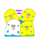 ★船堀インコ★その②(イラスト編)（個別スタンプ：21）