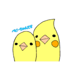 ★船堀インコ★その②(イラスト編)（個別スタンプ：24）
