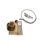 ごまきちのスタンプ（個別スタンプ：13）