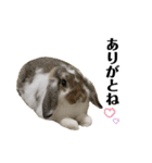津田家のらてともか（個別スタンプ：4）