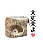 津田家のらてともか（個別スタンプ：10）