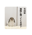 津田家のらてともか（個別スタンプ：20）