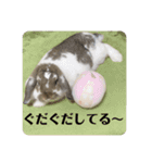 津田家のらてともか（個別スタンプ：21）