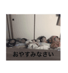 しおん好きのスタンプ（個別スタンプ：15）