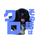 4ペキニーズLIFE！（個別スタンプ：12）