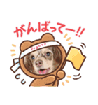 りょうくんに送るスタンプ❤（個別スタンプ：8）