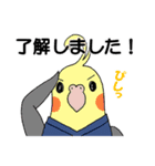 医療事務あるある すぺしゃるな鳥スタンプ（個別スタンプ：18）