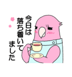 医療事務あるある すぺしゃるな鳥スタンプ（個別スタンプ：25）