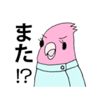 医療事務あるある すぺしゃるな鳥スタンプ（個別スタンプ：37）