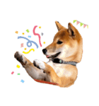 柴犬のしばおくん☆（個別スタンプ：15）