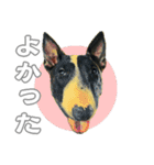 ブルテリアは最高だ（個別スタンプ：3）