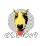 ブルテリアは最高だ（個別スタンプ：4）