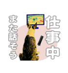 ブルテリアは最高だ（個別スタンプ：19）