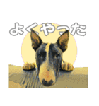 ブルテリアは最高だ（個別スタンプ：23）