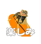 ブルテリアは最高だ（個別スタンプ：24）