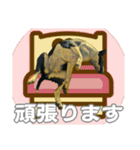ブルテリアは最高だ（個別スタンプ：27）