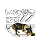 ブルテリアは最高だ（個別スタンプ：30）