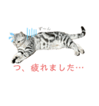 ちくわ生活②（個別スタンプ：2）