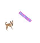 愛犬きくのつぶやき（個別スタンプ：4）
