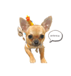愛心たくさん（個別スタンプ：4）
