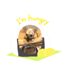 愛心たくさん（個別スタンプ：5）