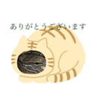 亀ちゃんと私たち（個別スタンプ：4）
